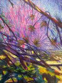 Image 3 of 03-01-25 - SOLD