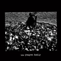 Image 1 of the yaupon holly - s/t 