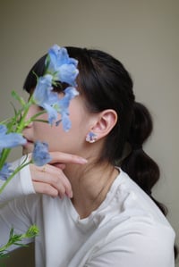 Image 3 of Pebbles (Monet)