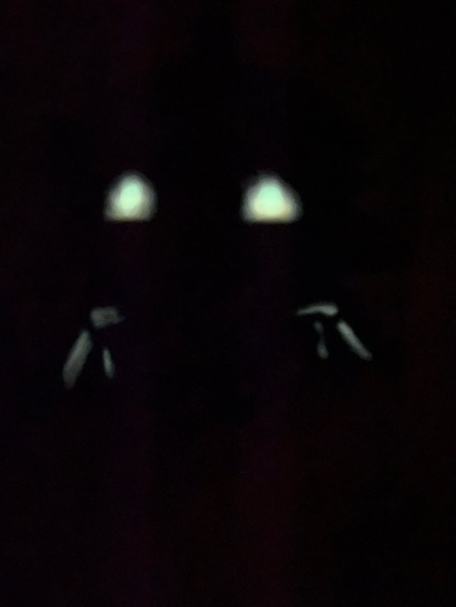 DATV Plushie Keychain PRE-ORDER