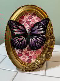 Image 3 of butterfly 