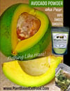 ALLIGATOR PEAR Freeze-Dried Avocado Fruit & Leaf Tea. Heart-Osteoporosis-Depression-Respiratory