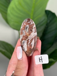 Image 8 of SMALL SANGRIA LACE AGATE SHIVAS