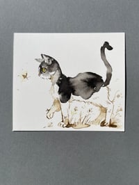 Image 3 of Kitty Cat - Study D