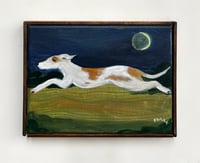 Sighthound in moonlight