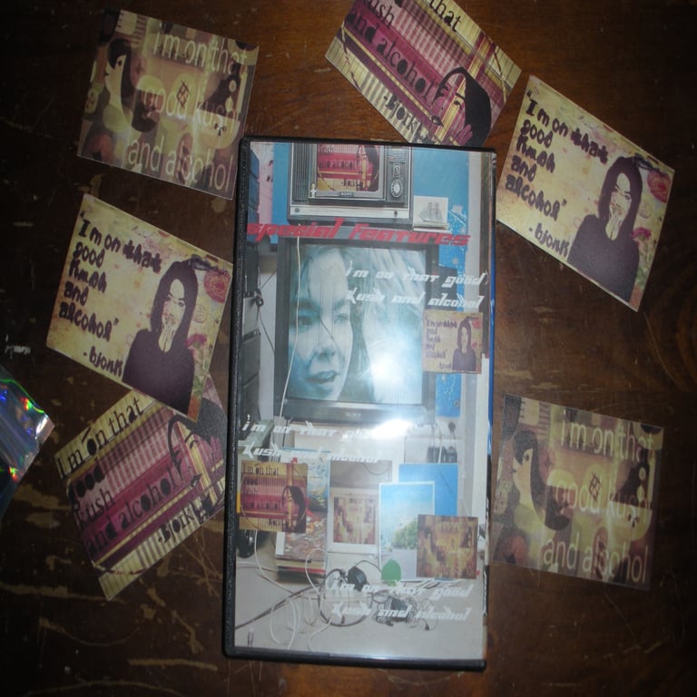 the bjork sticker pack Image 5
