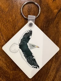 Image 4 of Slaty-backed Gull - No.78 - UK Birding Series