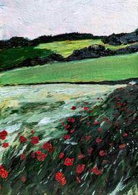 Poppies