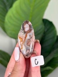 Image 3 of SMALL SANGRIA LACE AGATE SHIVAS