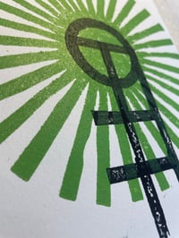 Image 3 of Green ‘Individual Sun’
