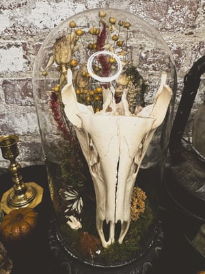 Image of Deer Skull Cast Iron Cloche