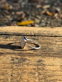Image 2 of The Blush Horizon
