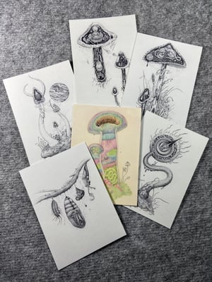 Set of 6 Postcards 