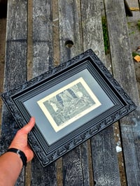 Image 5 of STATEMENT  - Antique engraving “The Game LOST”  with real preserved web