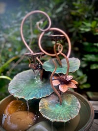Image 3 of Lotus Water Bloom