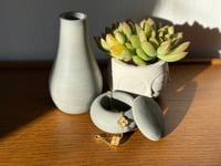 Image 3 of Big Bloom Theory