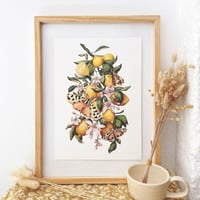 Image 1 of lemons & tiger moths