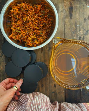 Image of Calendula Balm - Family sized 80g tin 