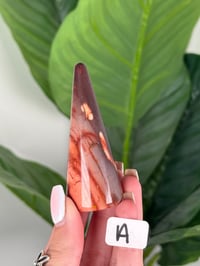Image 1 of MOOKITE RING HOLDERS