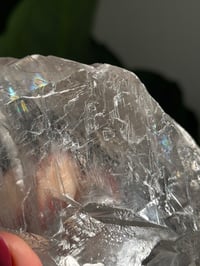 Image 4 of RAINBOW FILLED LA PLATOSA SELENITE -MEXICO- B