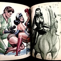 Image 17 of JOHN WILLIE & STANTON BONDAGE COMIX