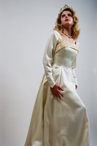 Image 3 of 1960s Satin Delight 