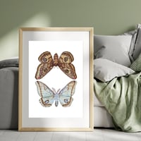 Image 4 of Mirror Moths PRINT