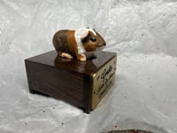 Image 13 of Custom Engraved Guinea Pig Urn Custom HandPainted To Your Photos