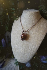 Image 8 of Harvest Moon Acorn 