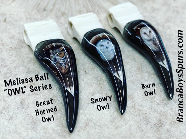 Image of Melissa Ball Owl Series Set of 3 Logo Spur Keychains or Zipper Pulls 