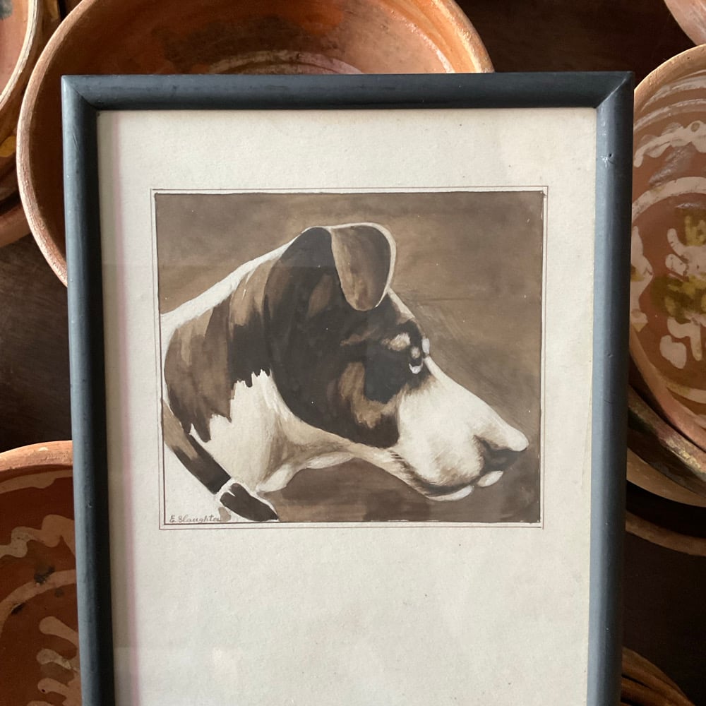 Image of Dog Portrait