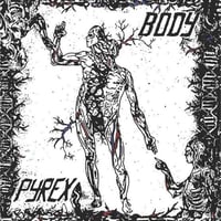Pyrex. Body