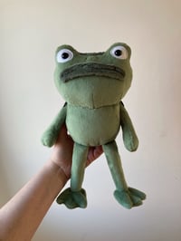 Image 1 of Medium Frog Of Many Names Plushie - OTGW - made to order