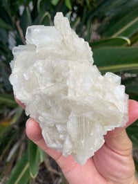 Image 1 of UV Reactive Calcite #1590