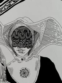 Image 2 of bird saint A3