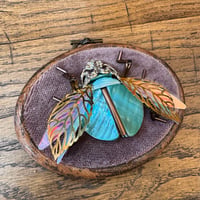 Image 1 of Beetle  (b,  2x2.5 inches)