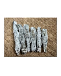Image 7 of White Sage