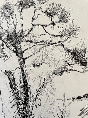 Image of VINTAGE DUTCH DRAWING: LANDSCAPE #7