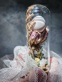 Image 2 of Fertilized parakeet egg never hatched 