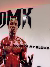 Image 4 of DMX – “It’s Dark and Hell Is Hot” (24x24" Resin Art Panel w/ LED Backlight)