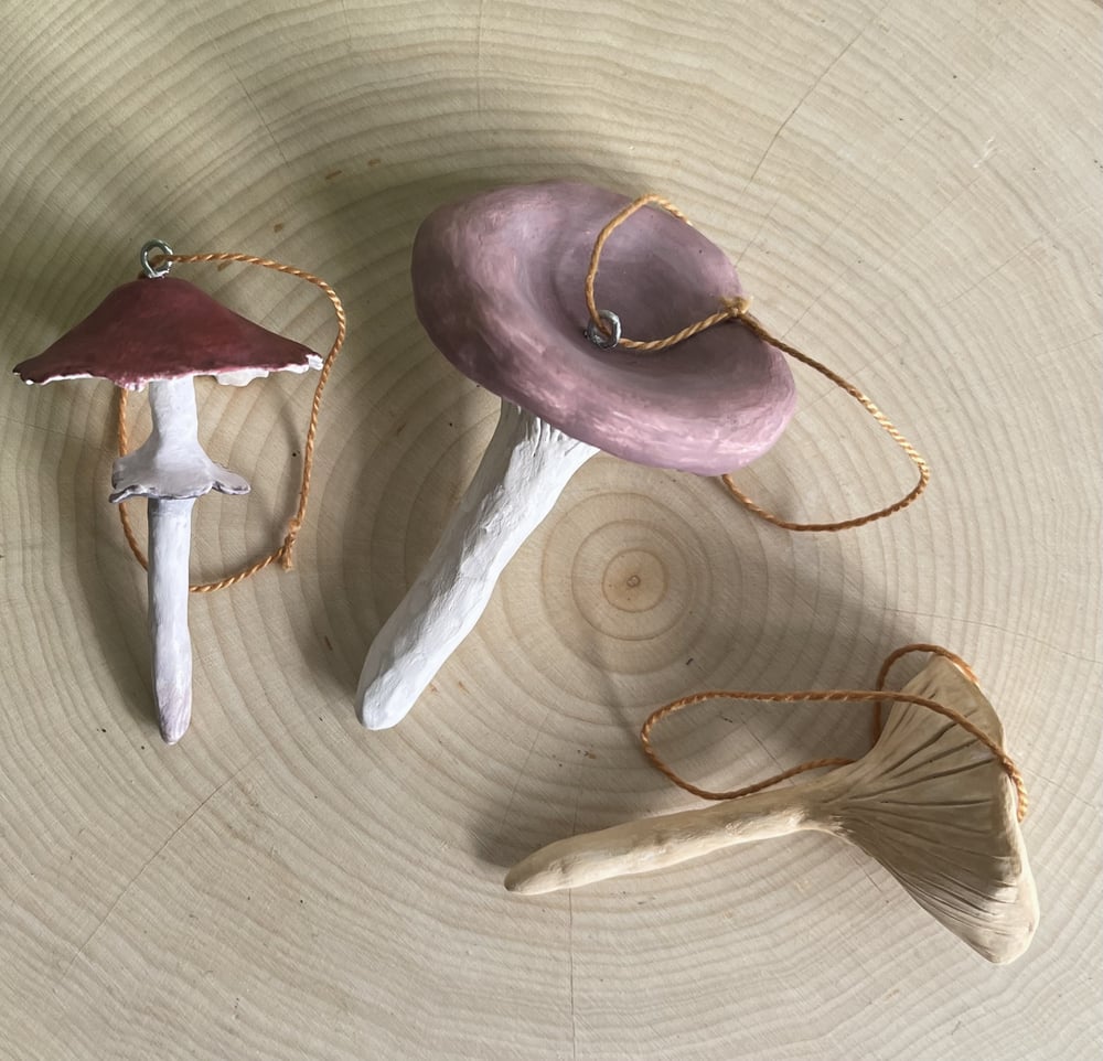 Image of Mushroom ornament set