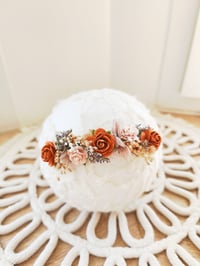 Image 2 of mini halo flowers terra cotta