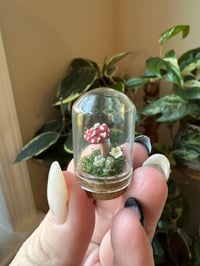 Image 5 of Spooky additions