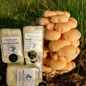 Image of Lion's Mane Hair Wash (with hair growth oil)