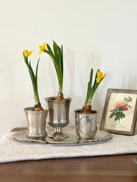 Image 10 of Anciennes timbales 