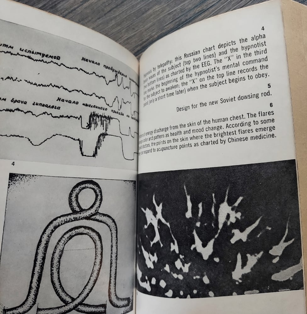 Psychic Discoveries Behind the Iron Curtain, by Sheila Ostrander and Lynn Schroeder