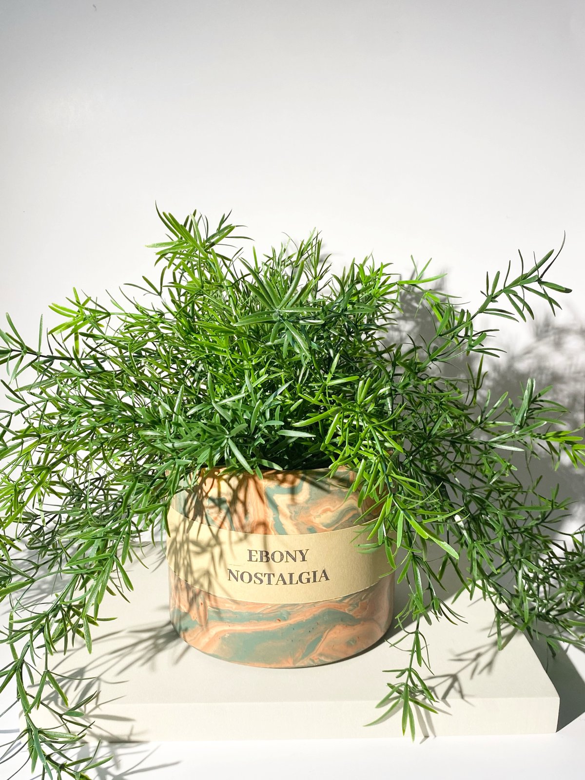 Image of Custom plant pot
