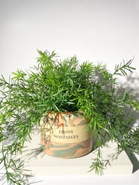 Custom plant pot