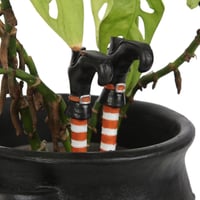 Image 1 of Set of 2 Wicked Witch Novelty Plant Pot Legs 
