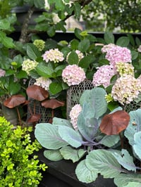 Image 3 of Metal mushroom set/3